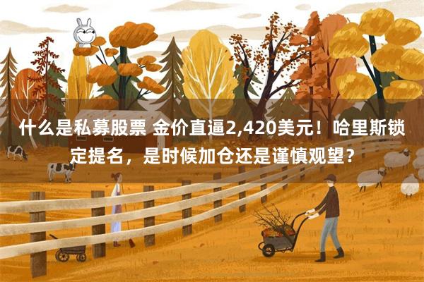 什么是私募股票 金价直逼2,420美元！哈里斯锁定提名，是时候加仓还是谨慎观望？