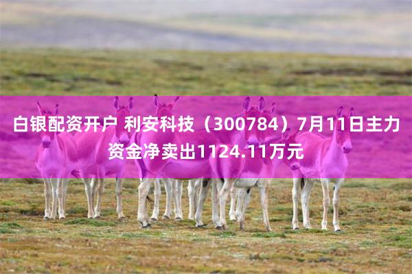 白银配资开户 利安科技（300784）7月11日主力资金净卖出1124.11万元