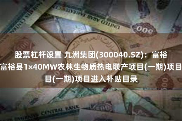 股票杠杆设置 九洲集团(300040.SZ)：富裕九洲环境能源富裕县1×40MW农林生物质热电联产项目(一期)项目进入补贴目录