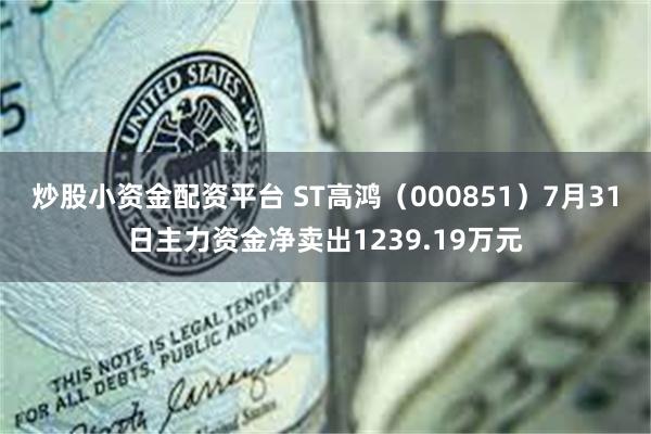 炒股小资金配资平台 ST高鸿（000851）7月31日主力资金净卖出1239.19万元