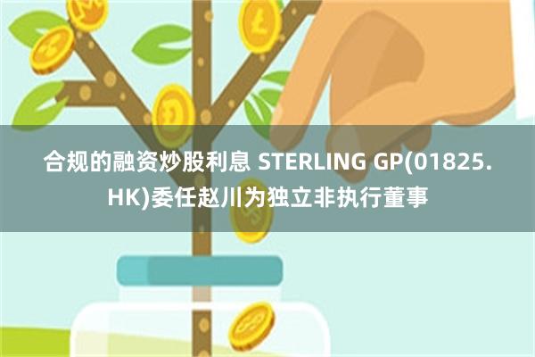 合规的融资炒股利息 STERLING GP(01825.HK)委任赵川为独立非执行董事