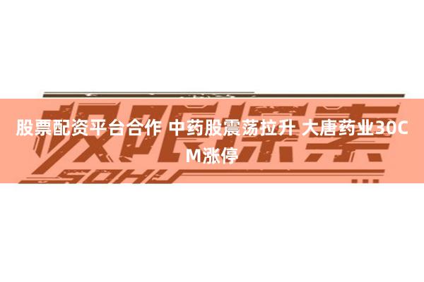 股票配资平台合作 中药股震荡拉升 大唐药业30CM涨停