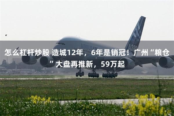 怎么杠杆炒股 造城12年，6年是销冠！广州“粮仓”大盘再推新，59万起