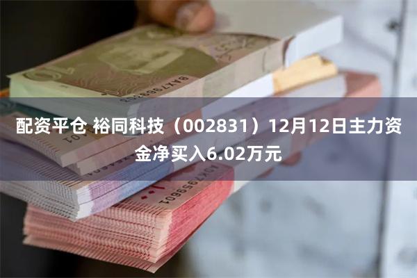 配资平仓 裕同科技（002831）12月12日主力资金净买入6.02万元