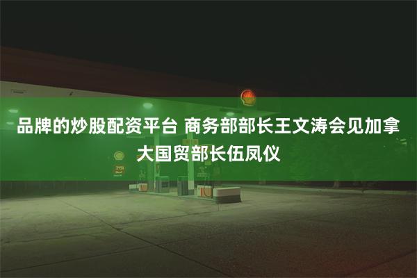 品牌的炒股配资平台 商务部部长王文涛会见加拿大国贸部长伍凤仪