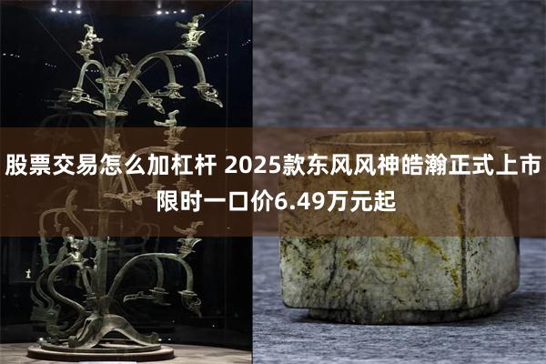 股票交易怎么加杠杆 2025款东风风神皓瀚正式上市 限时一口价6.49万元起