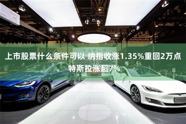 上市股票什么条件可以 纳指收涨1.35%重回2万点 特斯拉涨超7%